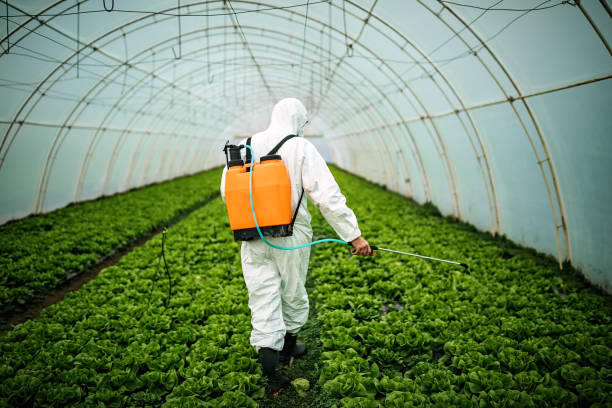 Best Commercial Pest Control Services  in Alamo, GA