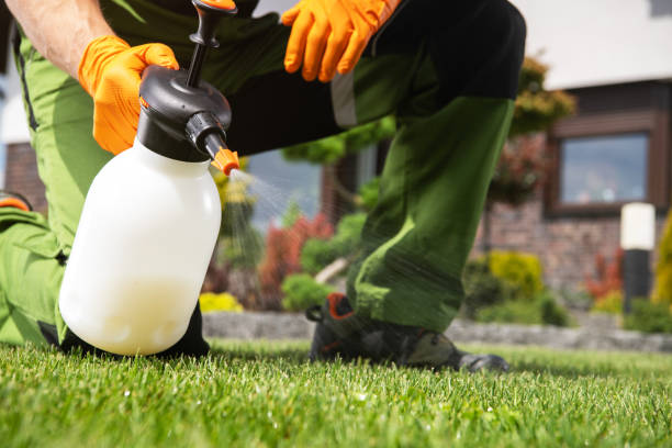 Professional Pest Control in Alamo, GA