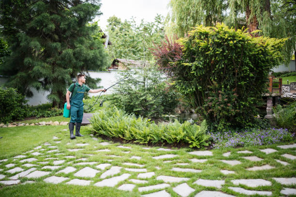 Best Mosquito Control Services  in Alamo, GA