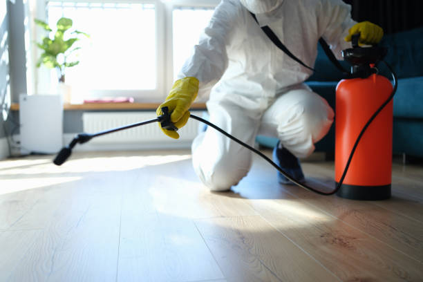 Flea Control Services in Alamo, GA