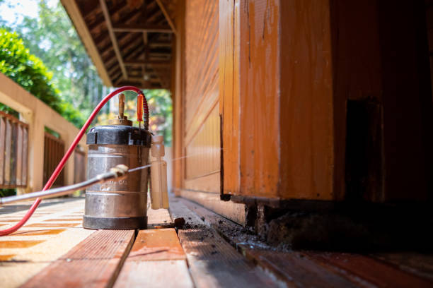 Best Pest Removal Services  in Alamo, GA