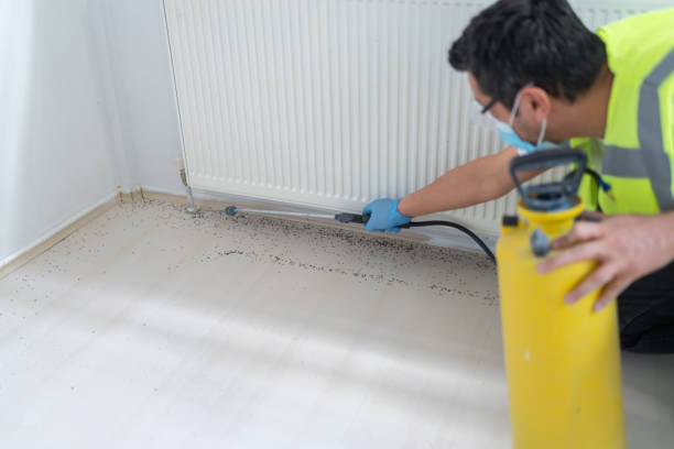 Best Exterminator Services  in Alamo, GA